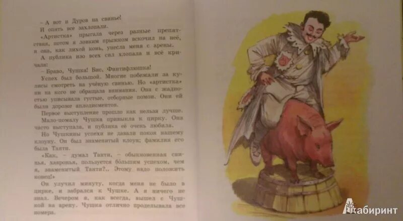 Дурова и заяц способен на подвиг. Дурова Мои звери. Дуров в.л. "Мои звери". Рассказ Мои звери. Дуров Мои звери хрюшка.