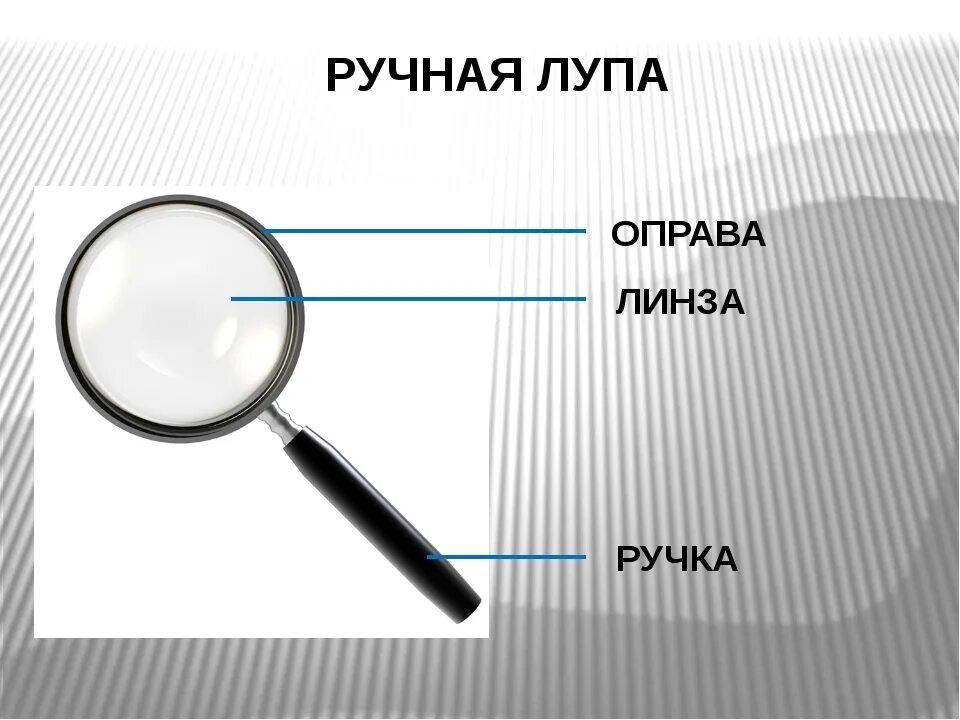 Рассмотрите с помощью лупы. Увеличительные приборы лупа биология. строение ручной лупы 5 класс биология. увеличительные приборы 5 класс биология лупа. части лупы ручной.