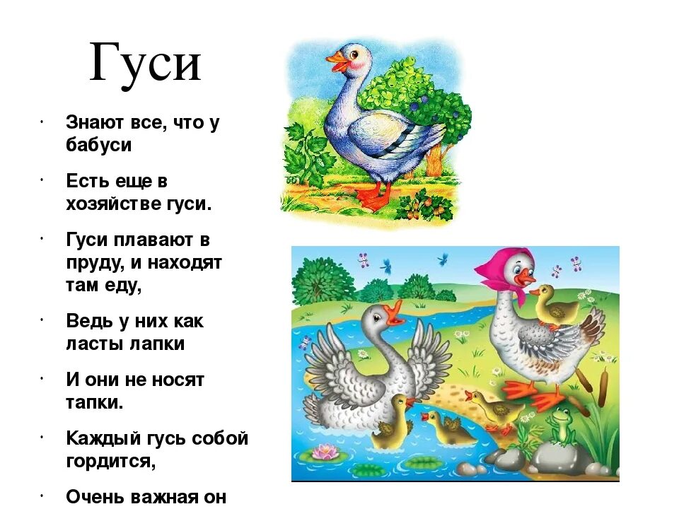 Стих гусек. Потешка наши уточки. Предложение со словом гусята. Стих про гуся для детей. Иллюстрация идти гуськом.