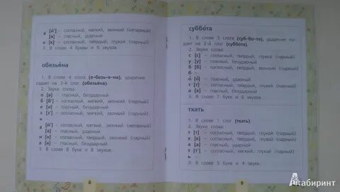 Обезьяна фонетический разбор