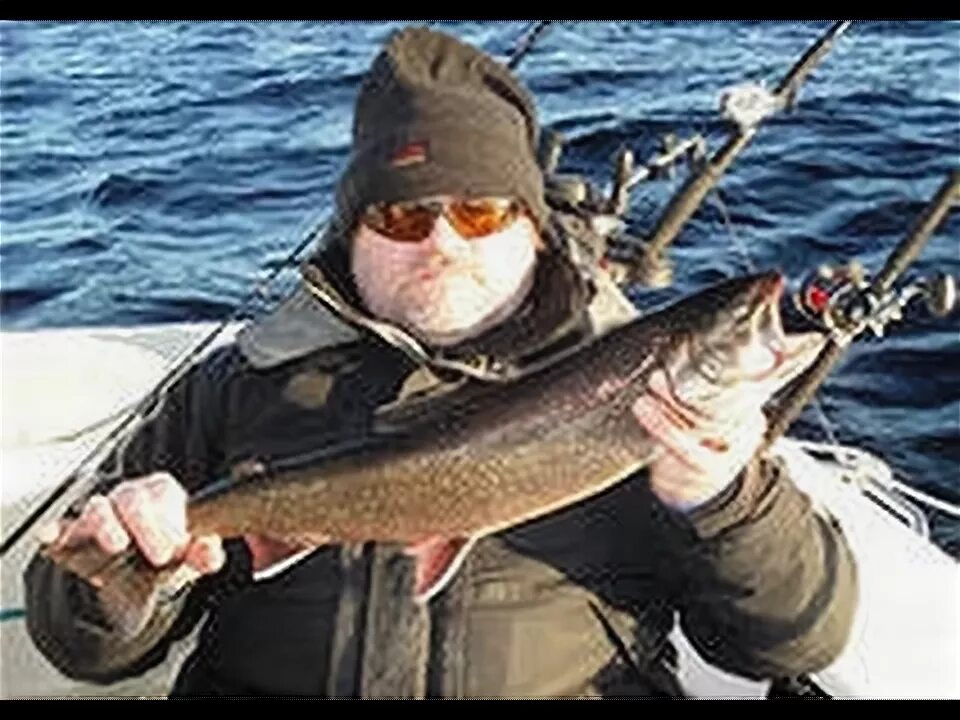 Палия на что ловить Арктический голец Рыбалка Северо-западные территории FishingBooker