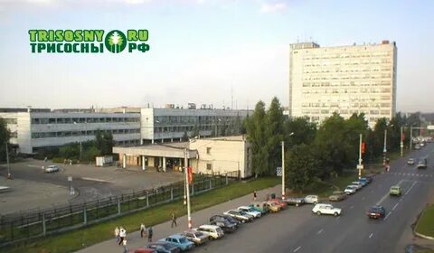 Дааз димитровград