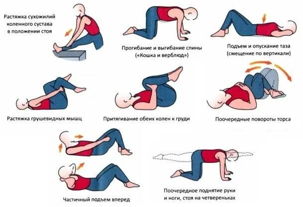 Боль в пояснице как лечить в домашних. Гимнастика для беременных при остеохондрозе поясничного отдела. Гимнастика для спины при остеохондрозе поясничного отдела при болях. Гимнастика при остеохондрозе поясничного и грудного отдела. Занятия ЛФК при грыже пояснично-крестцового отдела позвоночника.