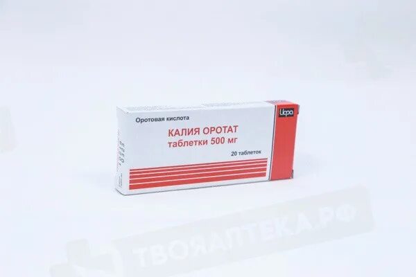 Оротовая кислота для чего