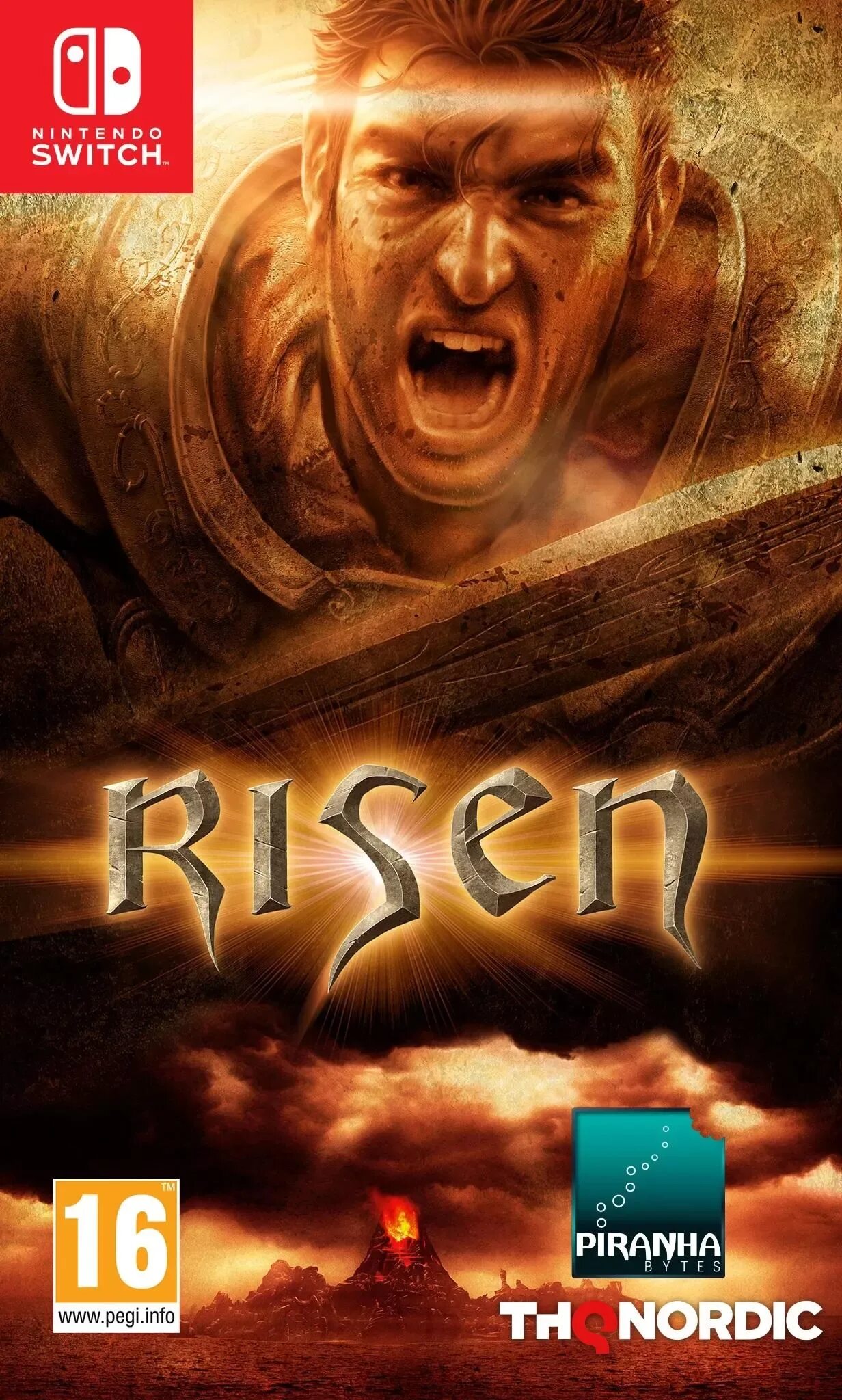 Risen 1 диск. Risen харбор таун карта. Дождь в игре готика. Nintendo switch monster hunter rise edition. Risen осколки меча.