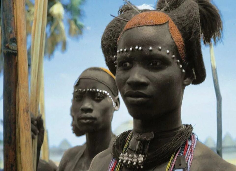 народы тропической африки. амазонки племени химба. рифеншталь нубийцы. народы негроидной расы в африке. народы африки 7 класс негроиды.