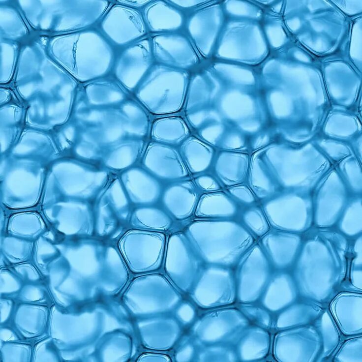 Cell pattern