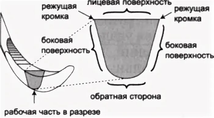Обратная поверхность