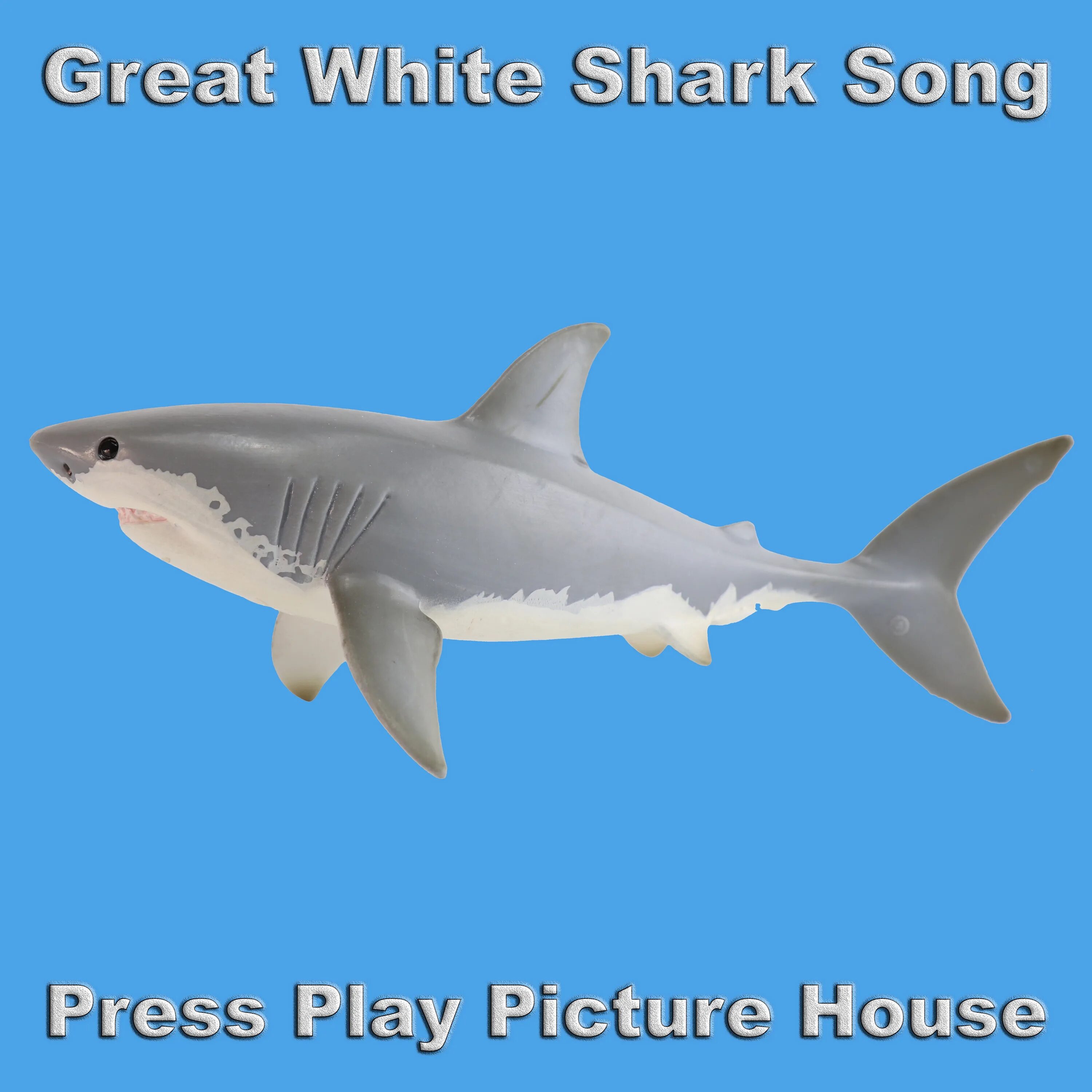 Акула песня. Песня Shark Shark. Akula песня. Обложки песен акулы. Акула музыка слушать