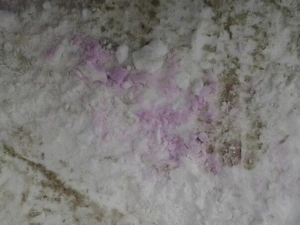 Розовый снег собаки. Розовый снег догхантеры. Розовый снег отрава для собак. Сиреневые пятна на снегу что это.
