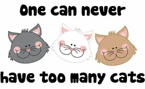 You can never have