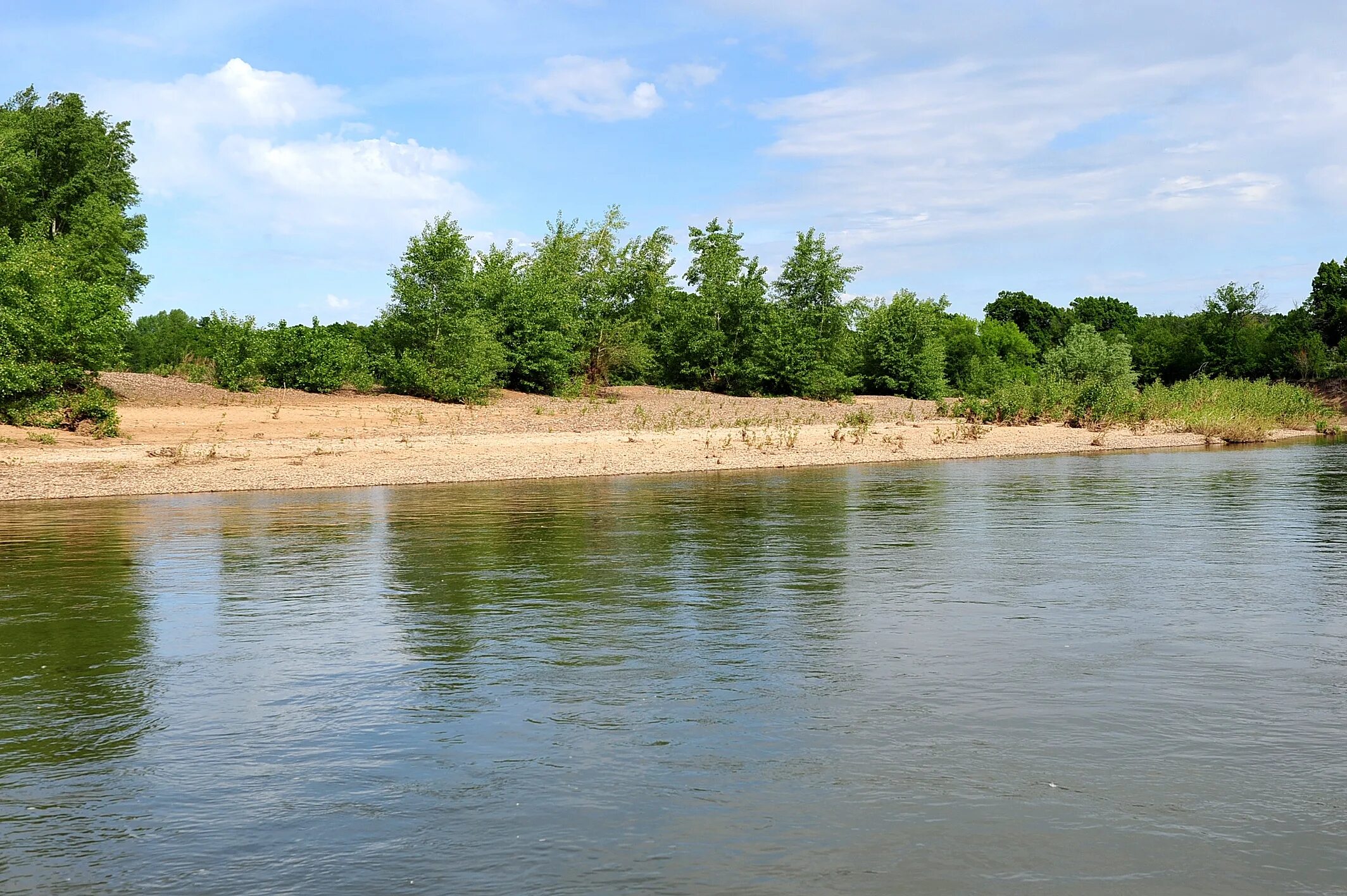 Река сакмара оренбург. Река сакмара крест. Пойма реки сакмара. Пойма реки сакмара. Кувандык сакмара.