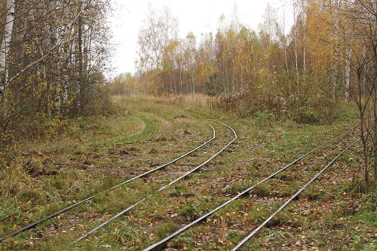 УЖД Рязань Тума. Болонь УЖД. Узкоколейная железная дорога Рязань. Рязанская железная дорога