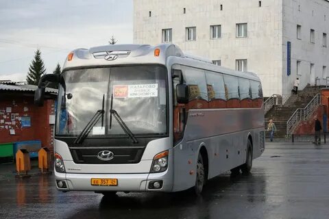 557 автобус маршрут