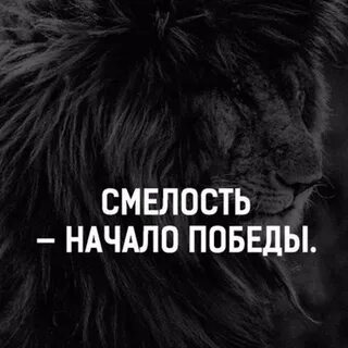 Смелость начало победы