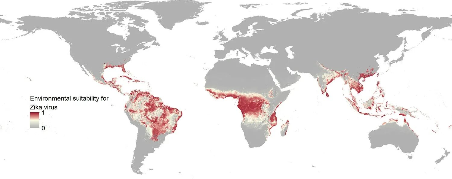 Zika world distribution 2024. Вирус зика на карте. Зика карта. Зика карта. Вирус зика на карте.