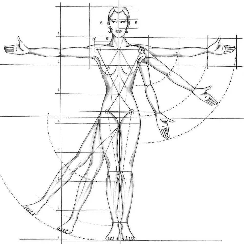 Рисовать человека живет. Пропорции тела человека схема. Золотое сечение пропорция тела женщины. Пропорции человека зарисовки. Построение человека пропорции.