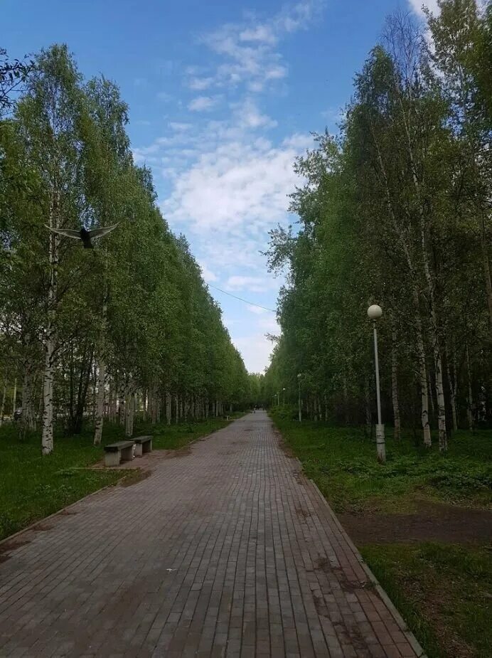 Центр родник архангельск. Майский парк Архангельск. Парк Майская горка Архангельск. Парк на Галушина Архангельск. Санаторий на Галушина Архангельск.