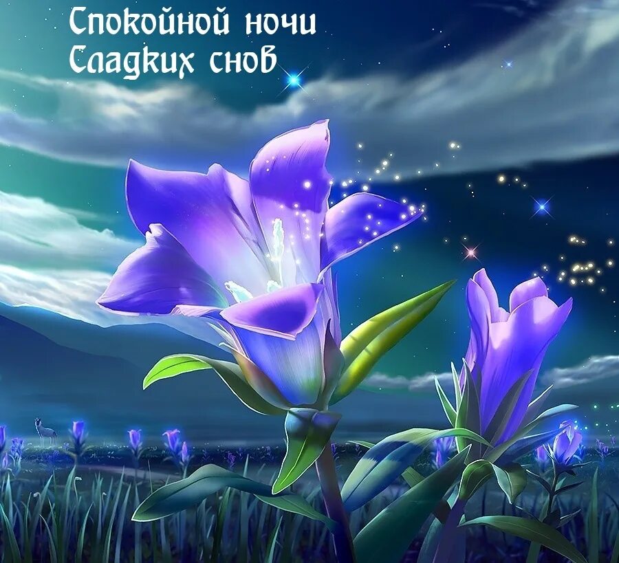 Спокойной ночи цветы. Волшебный цветок. Сказочные цветы. Ночной цветок. Цветы фэнтези.