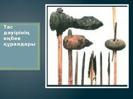 Олардың қалай жұлқынғанын көрдіңіз бе?