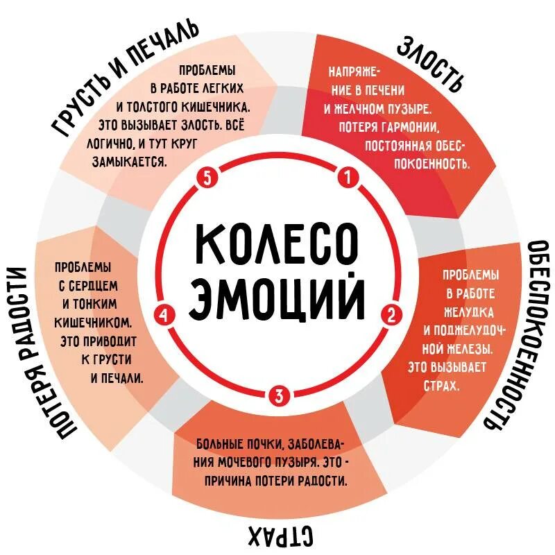 Колесо эмоций. Эмоции и здоровье. Как эмоции влияют на здоровье. Инфографика эмоции и чувства.