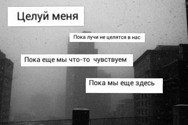 Целуй меня speed up. Целуй меня пока лучи не целятся в нас. целуй меня пока. целуй меня пока мы еще что то чувствуем. целуй меня целуй меня пока лучи.