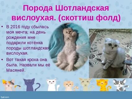 Любе подарили котенка текст 2