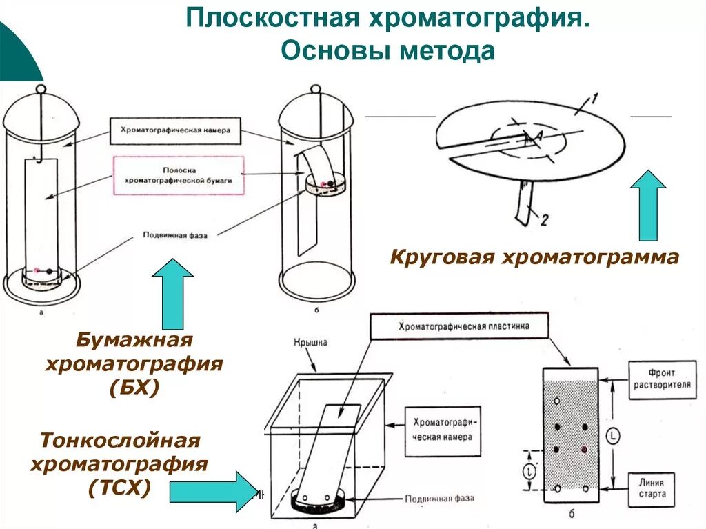 Планарная хроматография. Бумажная и тонкослойная хроматография различия. схема разделения методом восходящей тонкослойной хроматографии. плоскостная хроматография бумажная и тонкослойная. хроматография схема разделения.