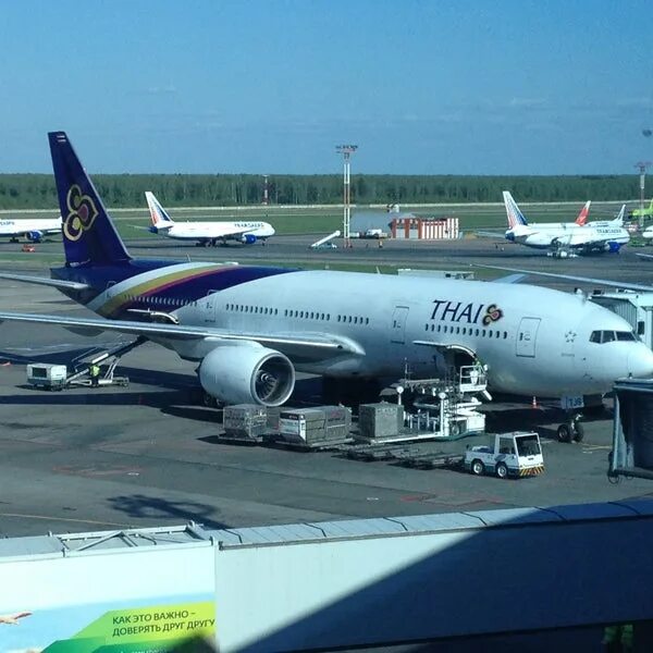 Thai Airways в Домодедово. Thai Airways tg975 авиакатастрофа. TG самолет. Thai Airways tg975.