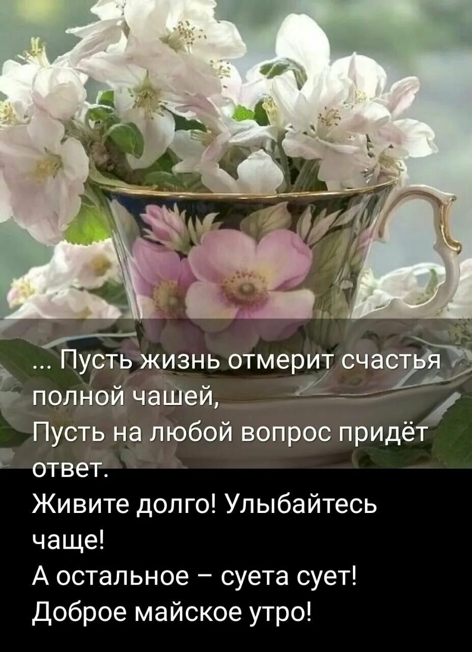 С добрым утром умными. Доброе утро цитаты. Красивые пожелания с добрым утром. Пусть жизнь отмерит счастья полной чашей. С добрым утром цитаты красивые.
