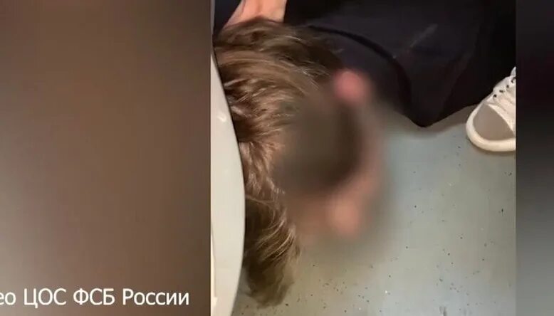 Кадыров избивает журавеля