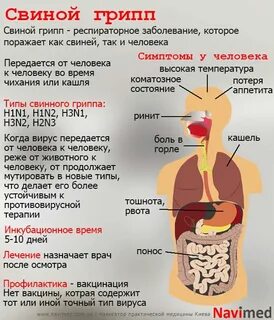 Есть ли температура при вирусе