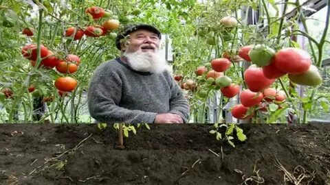 Сад и огород медведевых