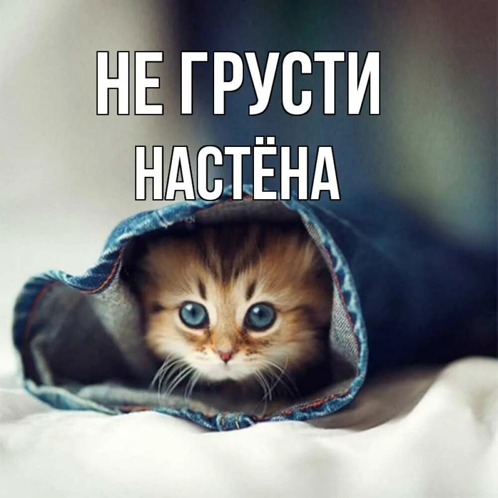 Дата скучаю