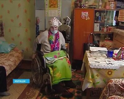Подслушано мураши