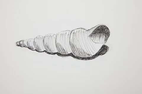 Ракушку легкую