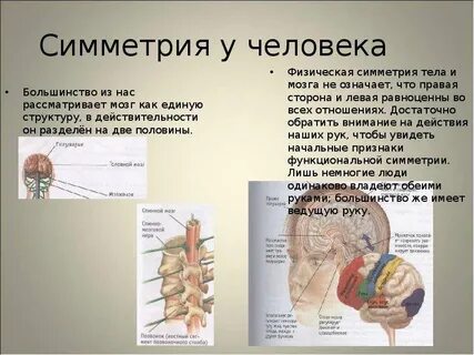 Физический пол