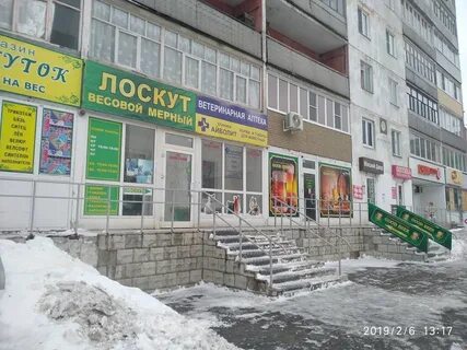 Ветеринарные рыбинск