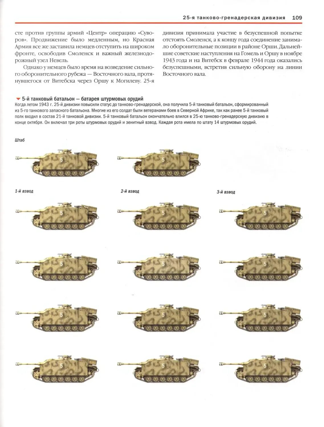 Сколько танков входит. Численность танкового батальона России. Численность танкового батальона в Российской армии.