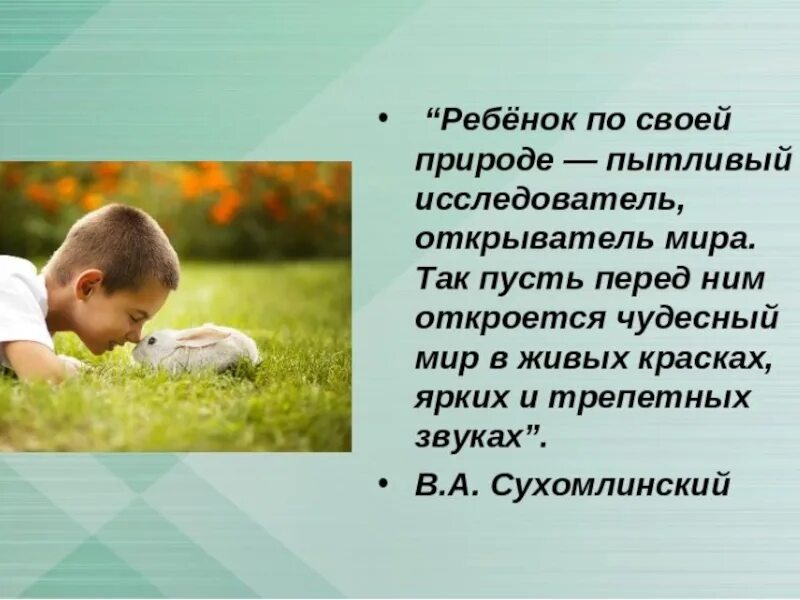 Формирование ценностное отношение к природе младших школьников. Экологическое воспитание. экологическое воспитание школьников. экологическое воспитание личности. цитаты о природе для детей.