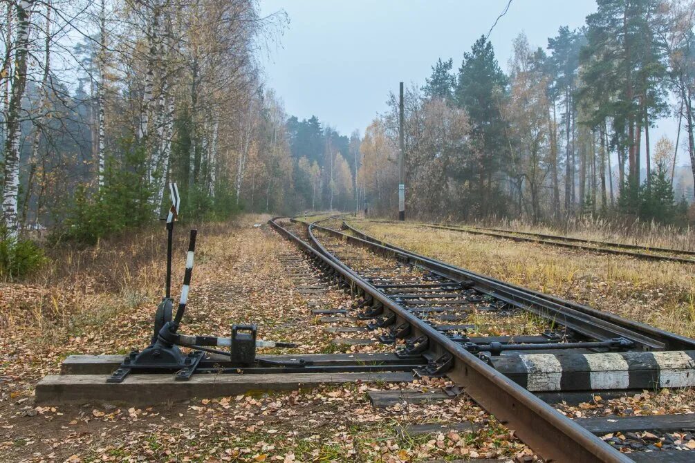 Железная дорога 1 том. Железная дорога возле деревни. Поселок железнодорожного разъезда. Разъезд поездов. Железная дорога Архангельск Карпогоры.