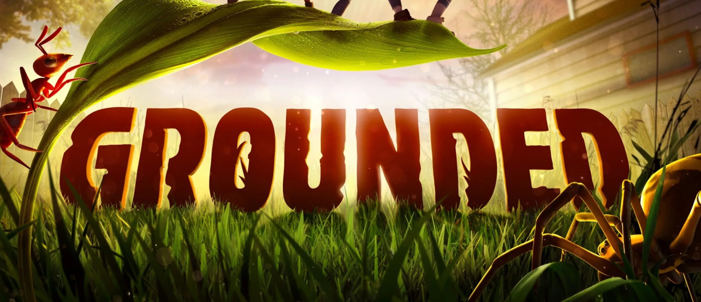 G ground. Grounded игра. граундед лого. grounded логотип. граундед стим.