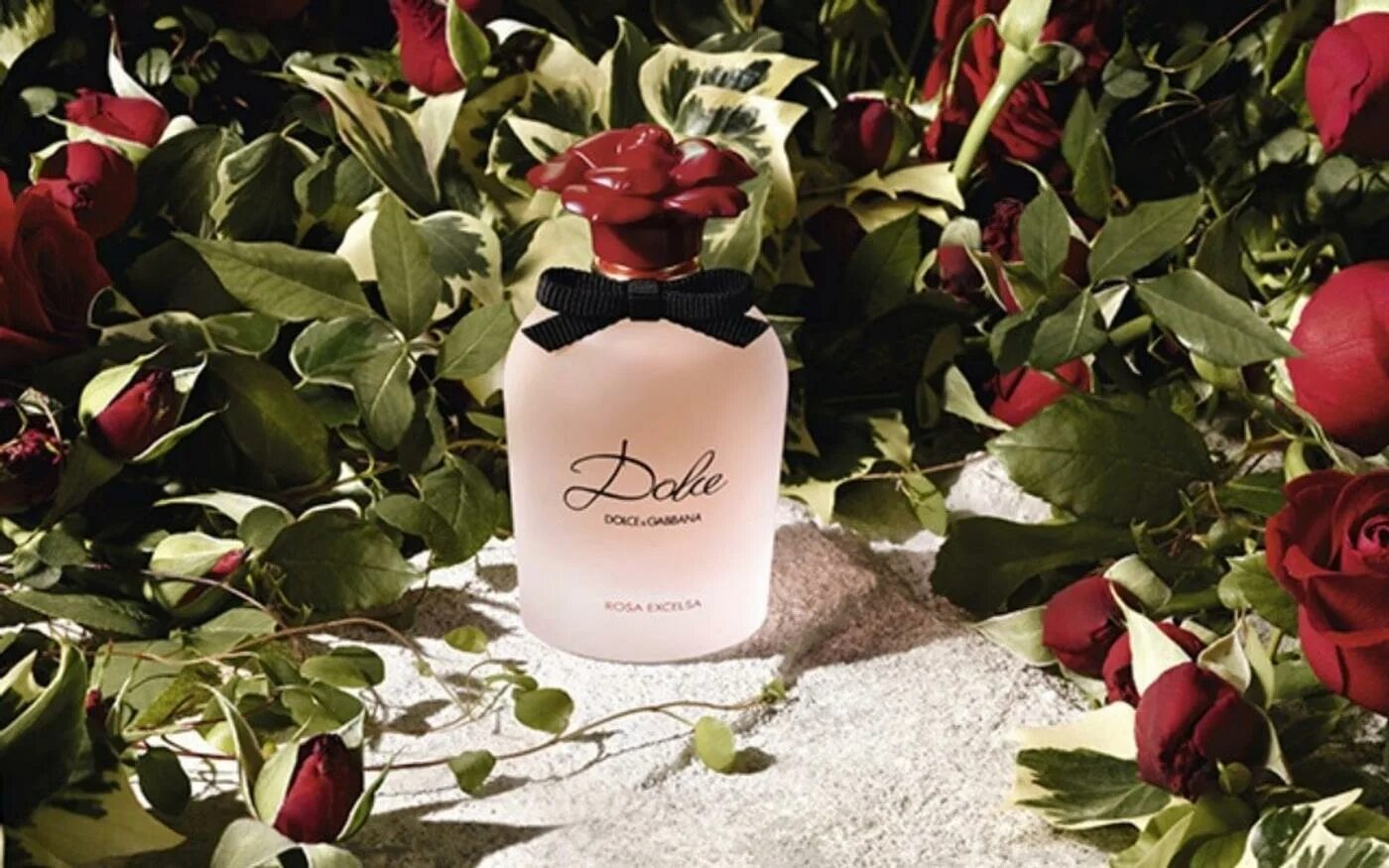 Dolce Rosa Excelsa от Dolce&Gabbana. Дольче Габбана Роуз Гарден. Духи Дольче Габбана цветочные. Dolce rosa