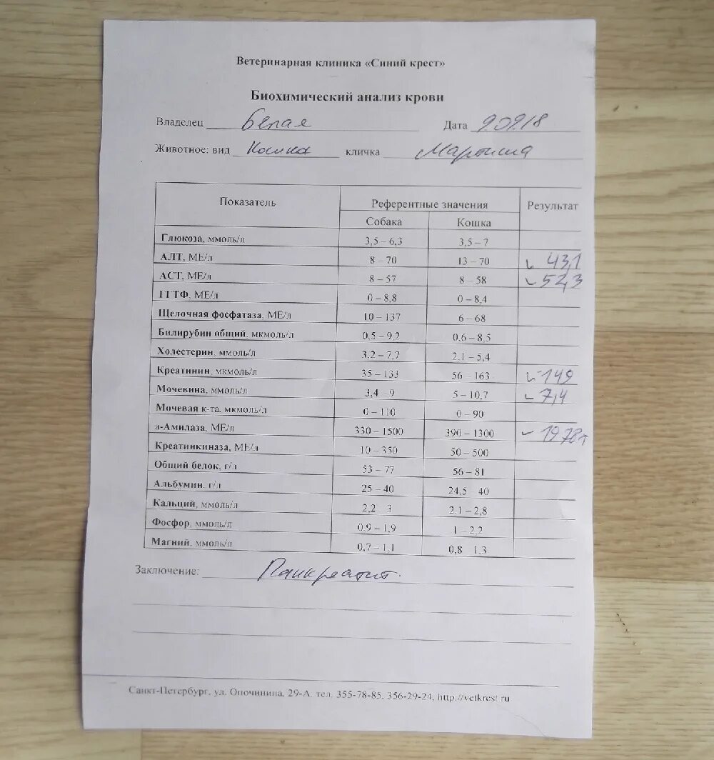 Направление на б х. Направление на кровь бланк биохимического анализа крови. Биохимический анализ крови форма Бланка. Направление на биохимическое исследование крови бланк. Бланк анализа крови на биохимию.