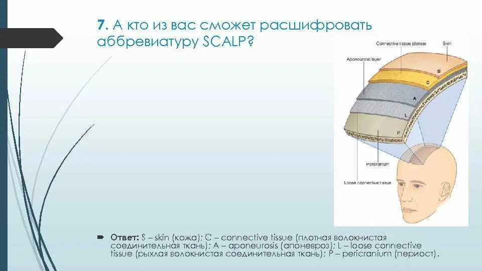 Scalp аббревиатура анатомия. Скальп аббревиатура расшифровка. Scalp акроним. Scalp перевод