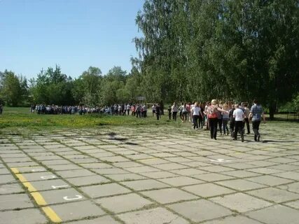 Школа 1 гусь