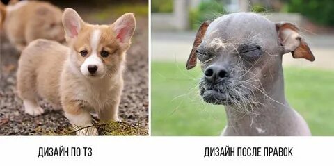 Небольшие правки