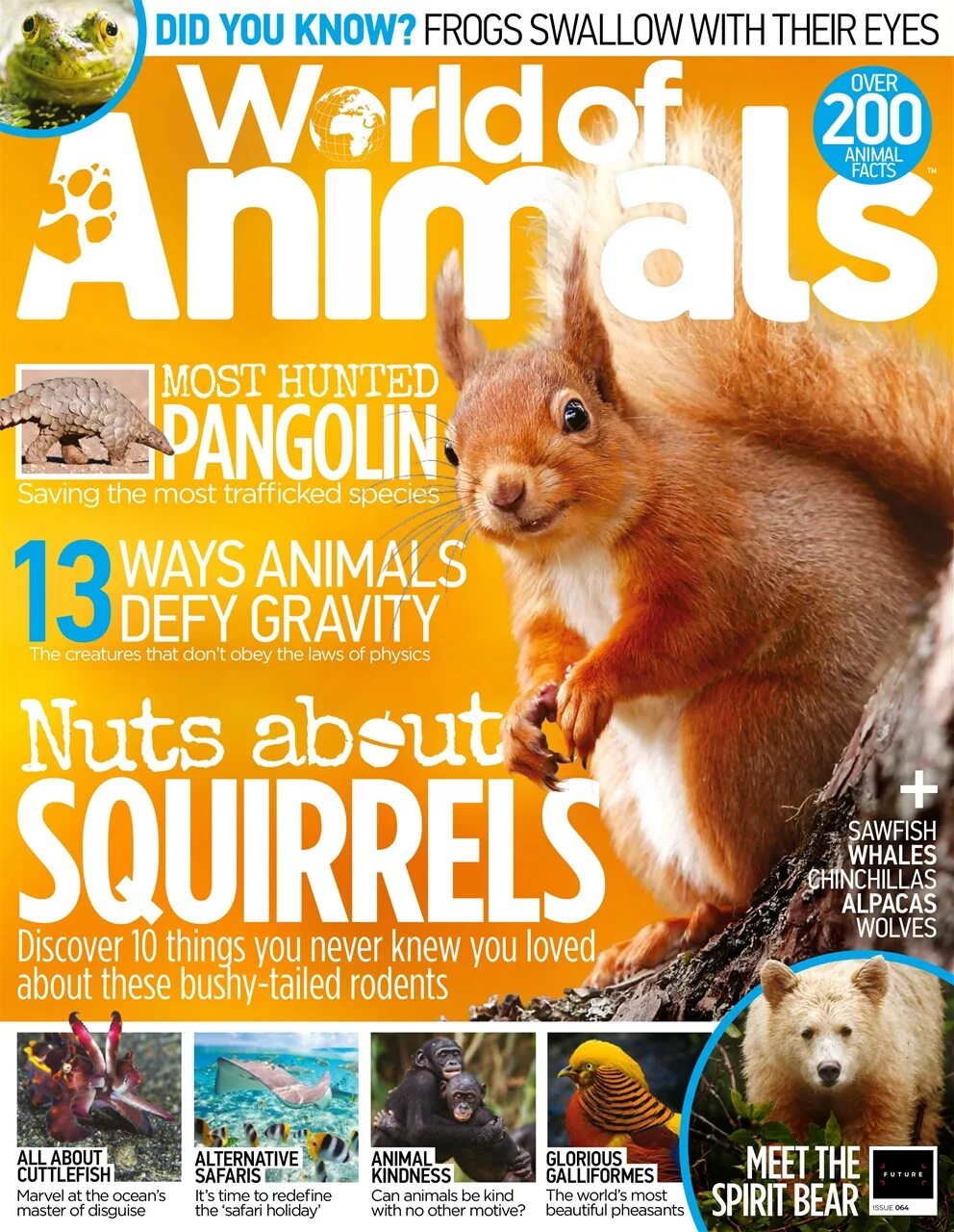 Animal Magazine. All animals Magazine. Magazine about animals. Animal Issues.