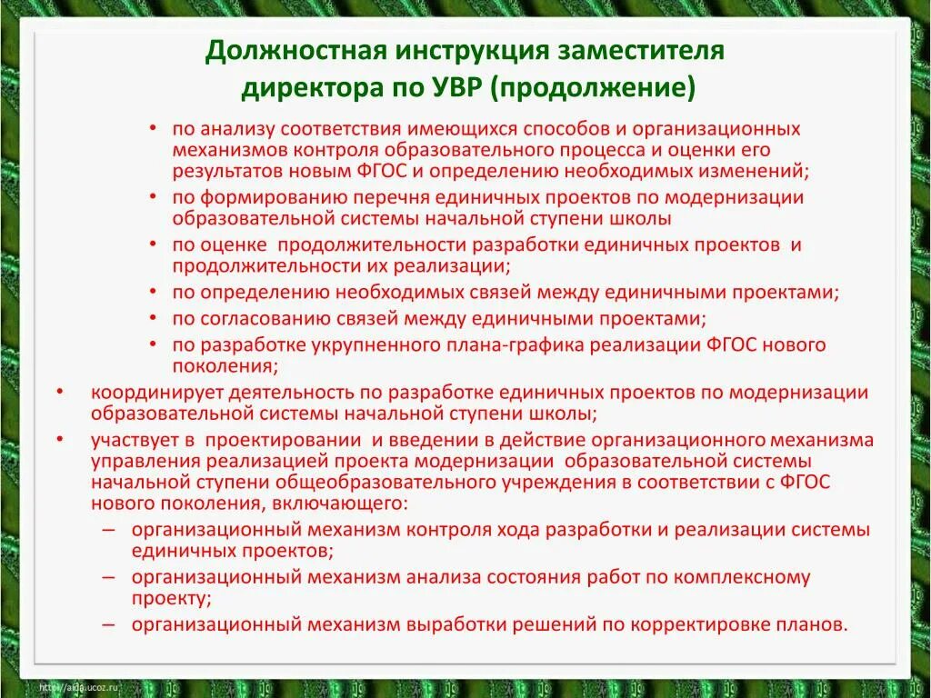 Должностные обязанности заместителя руководителя. Должностная инструкция заместителя директора. Должность зам директора. Должностная инструкция заместителя руководителя.