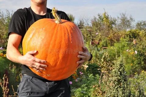 Руки тыкву